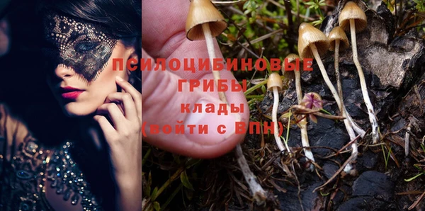 марки lsd Горнозаводск