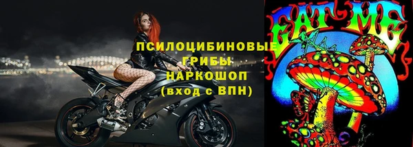 прущая мука Горняк